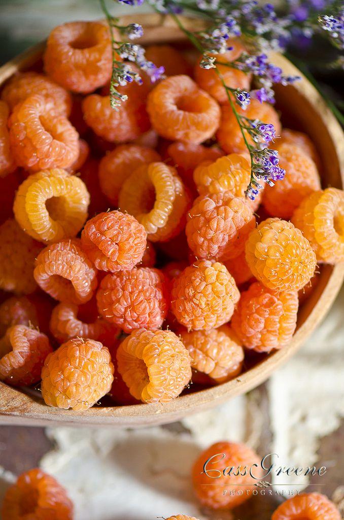 Sunny Groves Seasonal Berry Fusion